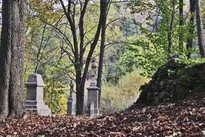 Magurski Park Narodowy